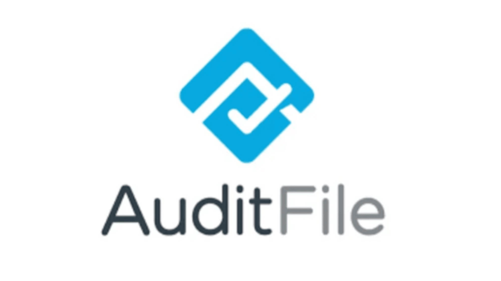 AuditFile cloud platform showing audit engagement tools for small CPA firms