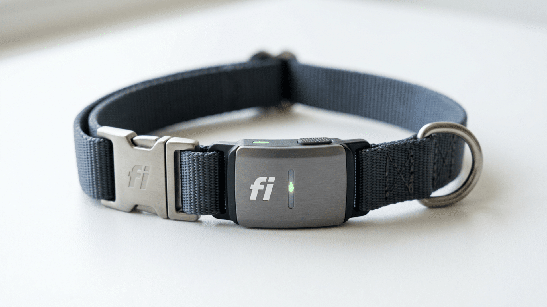 Close-up view of a Fi Series 3 smart dog collar showing its modern GPS tracking design