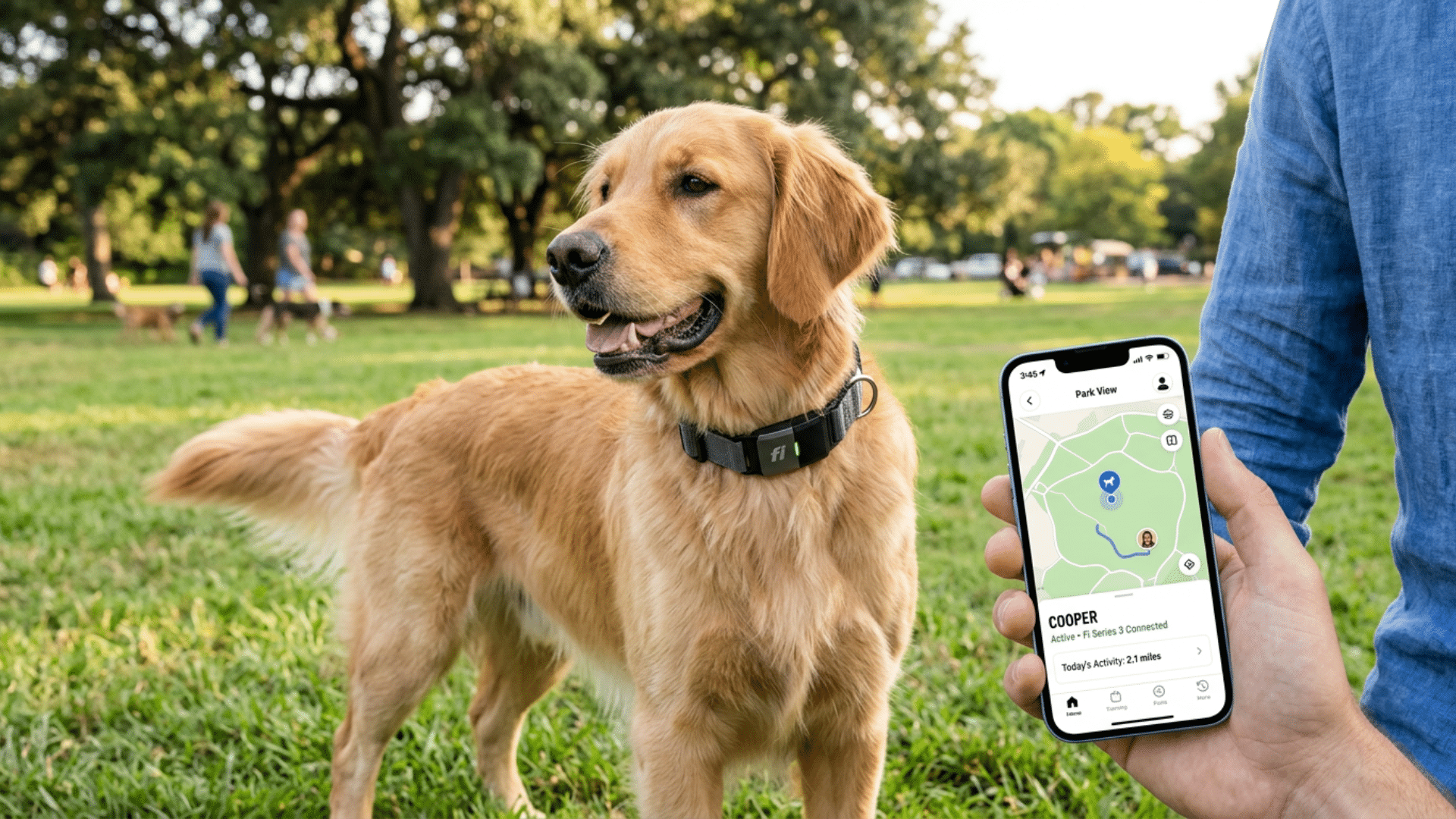 Dog wearing a Fi Series 3 smart collar while owner checks GPS location tracking on a smartphone