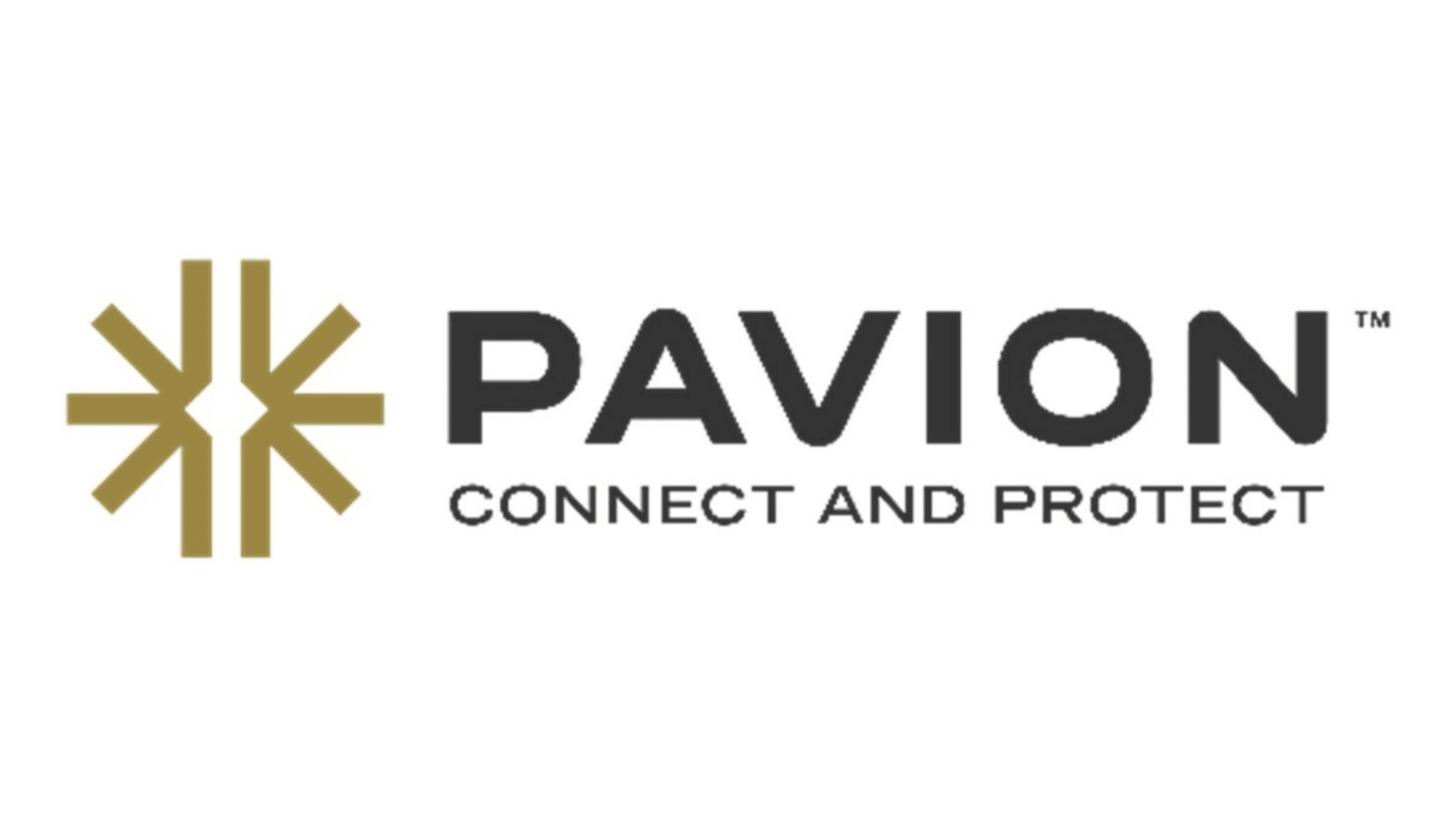 Pavion company logo featuring gold emblem and text 'Connect and Protect' for fire safety services.