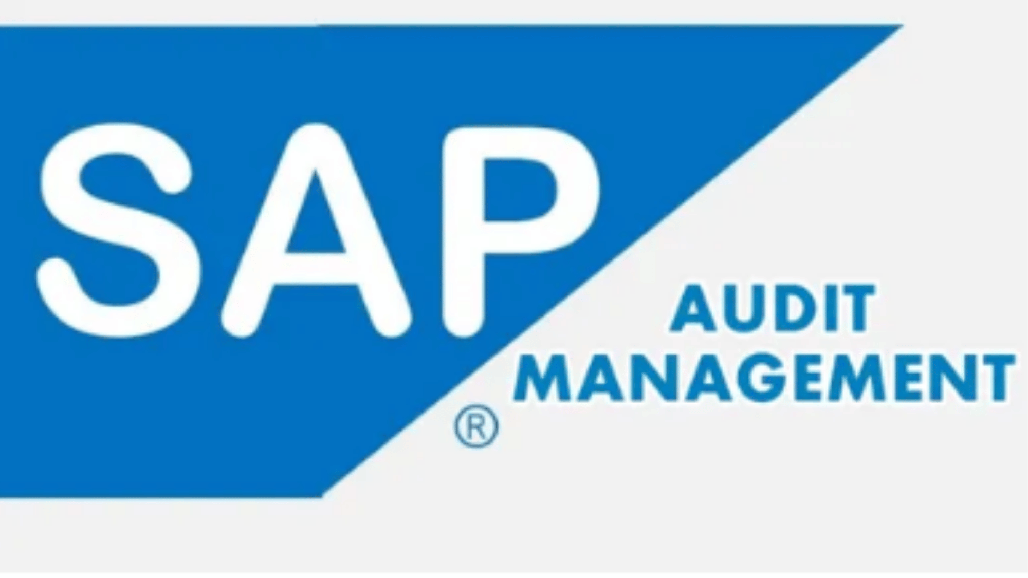 SAP Audit Management interface integrated with SAP ERP for enterprise audits