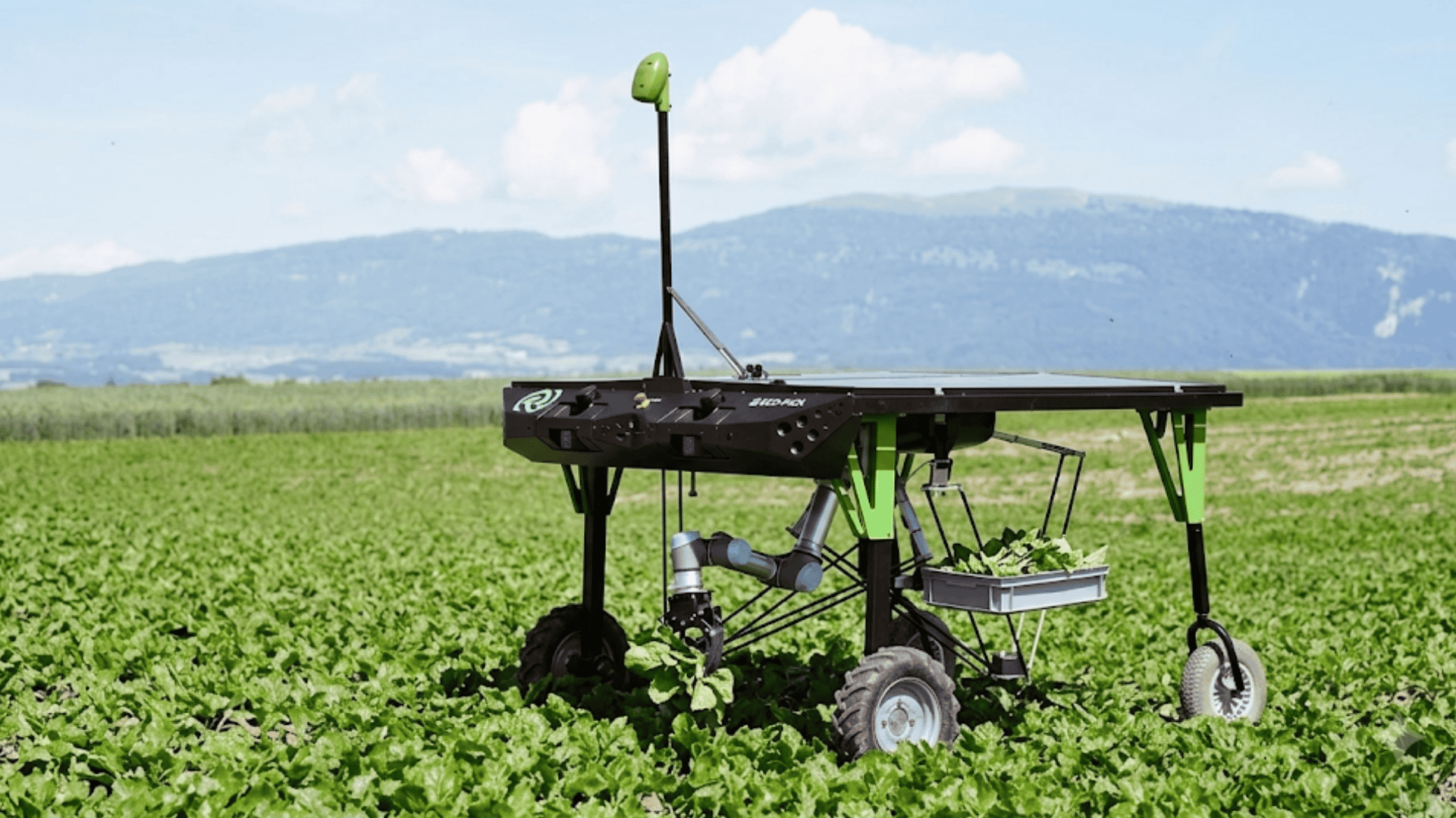 AI-powered robot removing weeds mechanically or with lasers, reducing herbicide use and costs