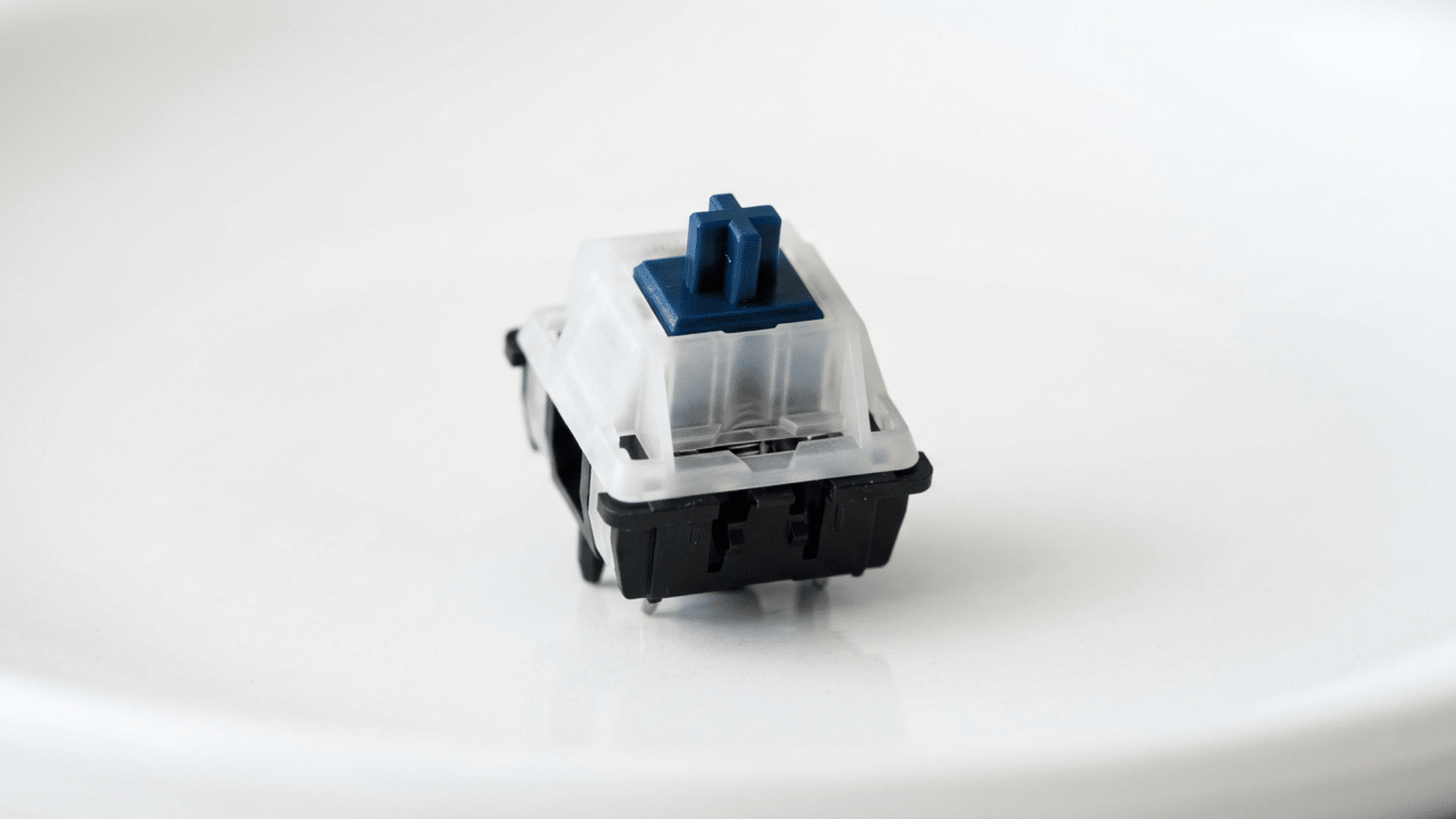 Cherry MX Blue switch with translucent housing and blue stem on white surface