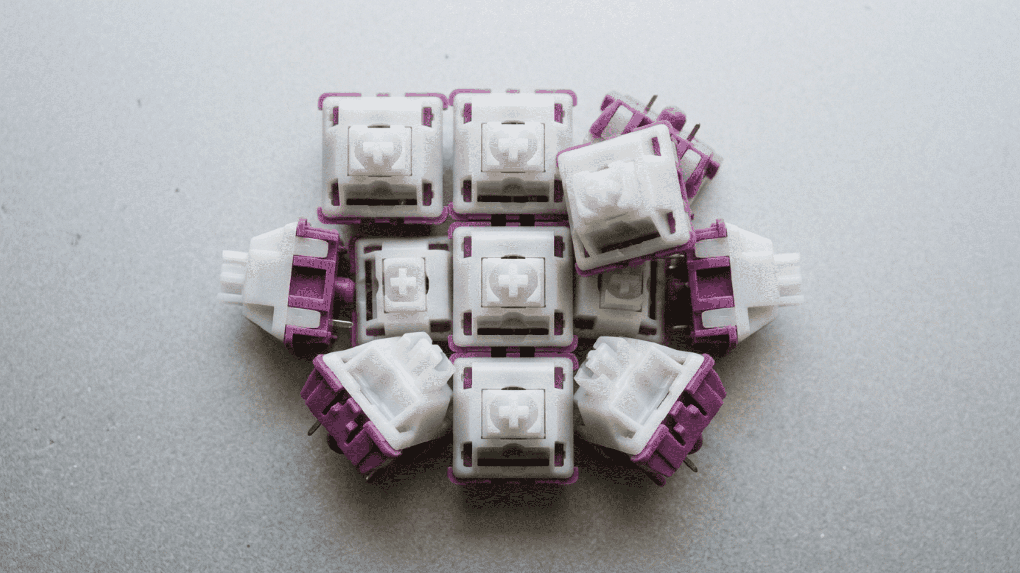 Holy Panda switches with white top housings and purple bottoms grouped together
