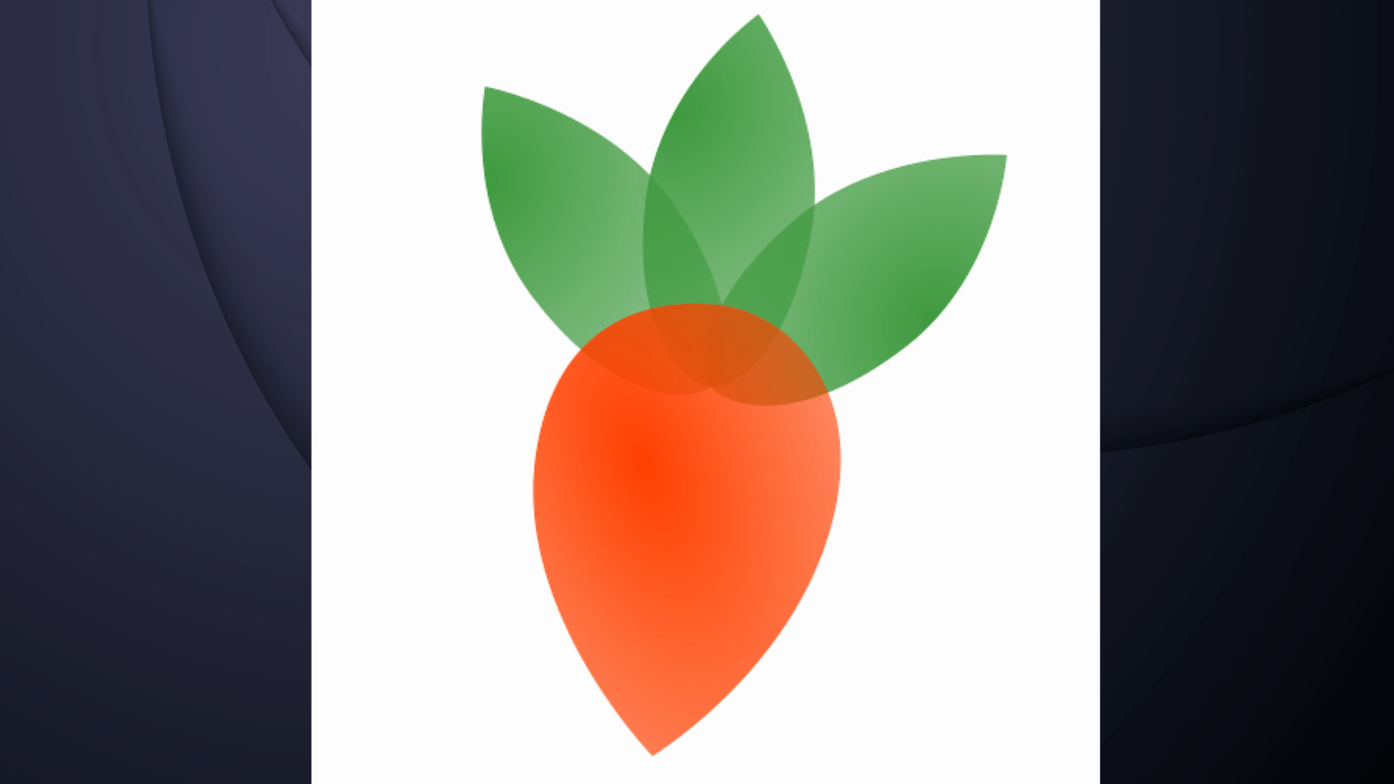 Pro Landscape Home logo, orange carrot icon with green leaves on white